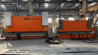 Ambkant FFE (Medium)