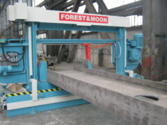 Fierastrau Forest and Moon